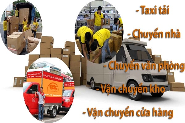Kiến Vàng 24H