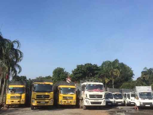 Công Ty TNHH MTV Mạnh Cường Quân