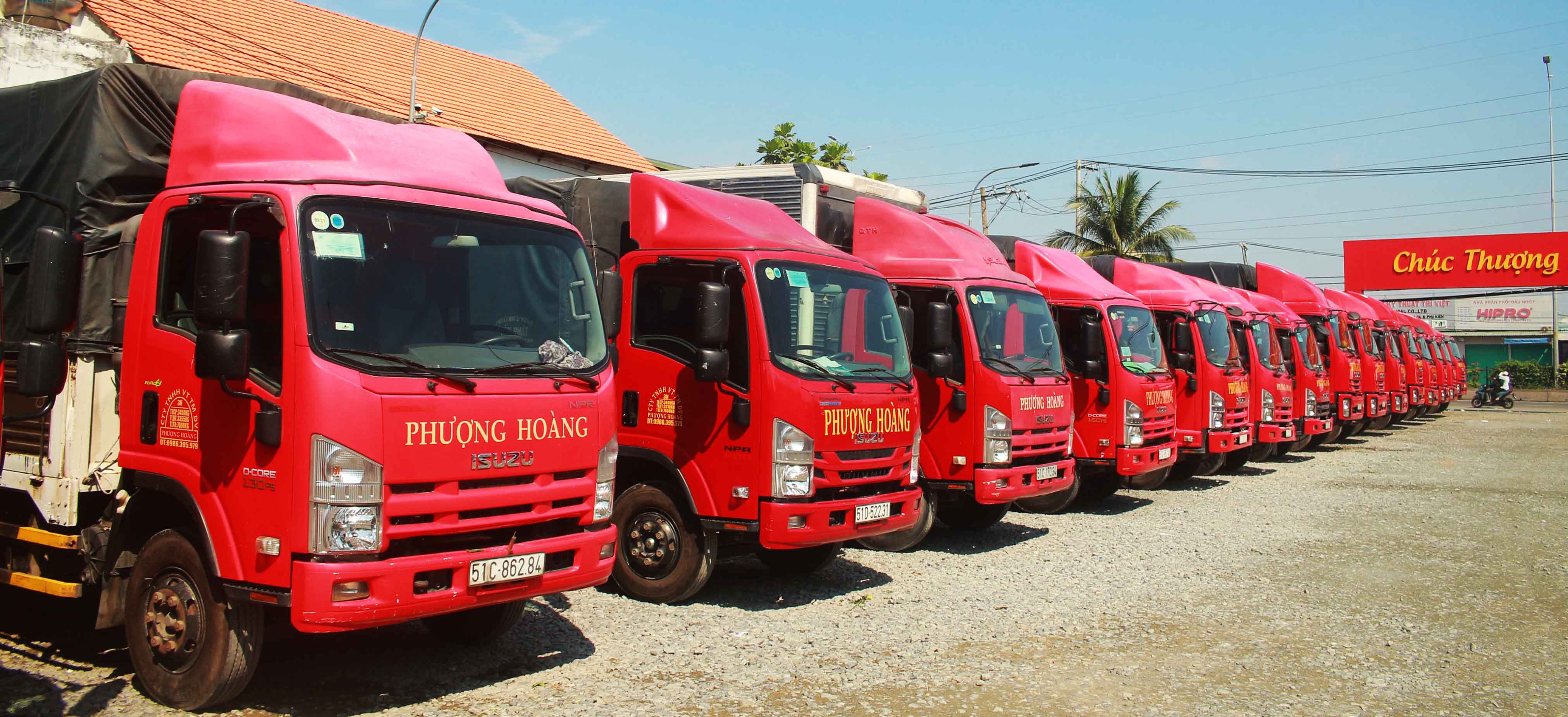 Vận Tải Phượng Hoàng