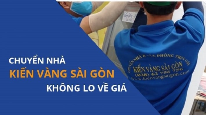 Kiến Vàng Sài Gòn